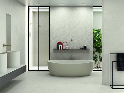 Porcelanite