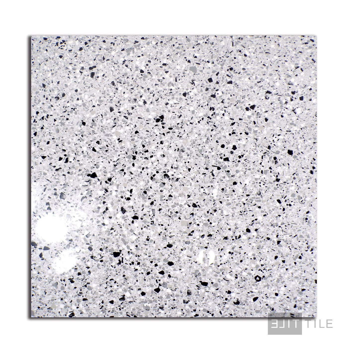 Rialto Porcelain Tile 24X24 Silver Polished