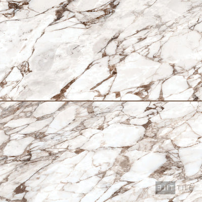 Exotic Stone Cosmopolitan Porcelain Large Format Field Tile 24X48 Arabescato Oro Polished