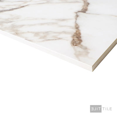 Exotic Stone Cosmopolitan Porcelain Large Format Field Tile 24X48 Arabescato Oro Polished