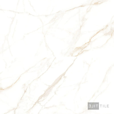 Select White 24X48 Calacatta Gold Polished