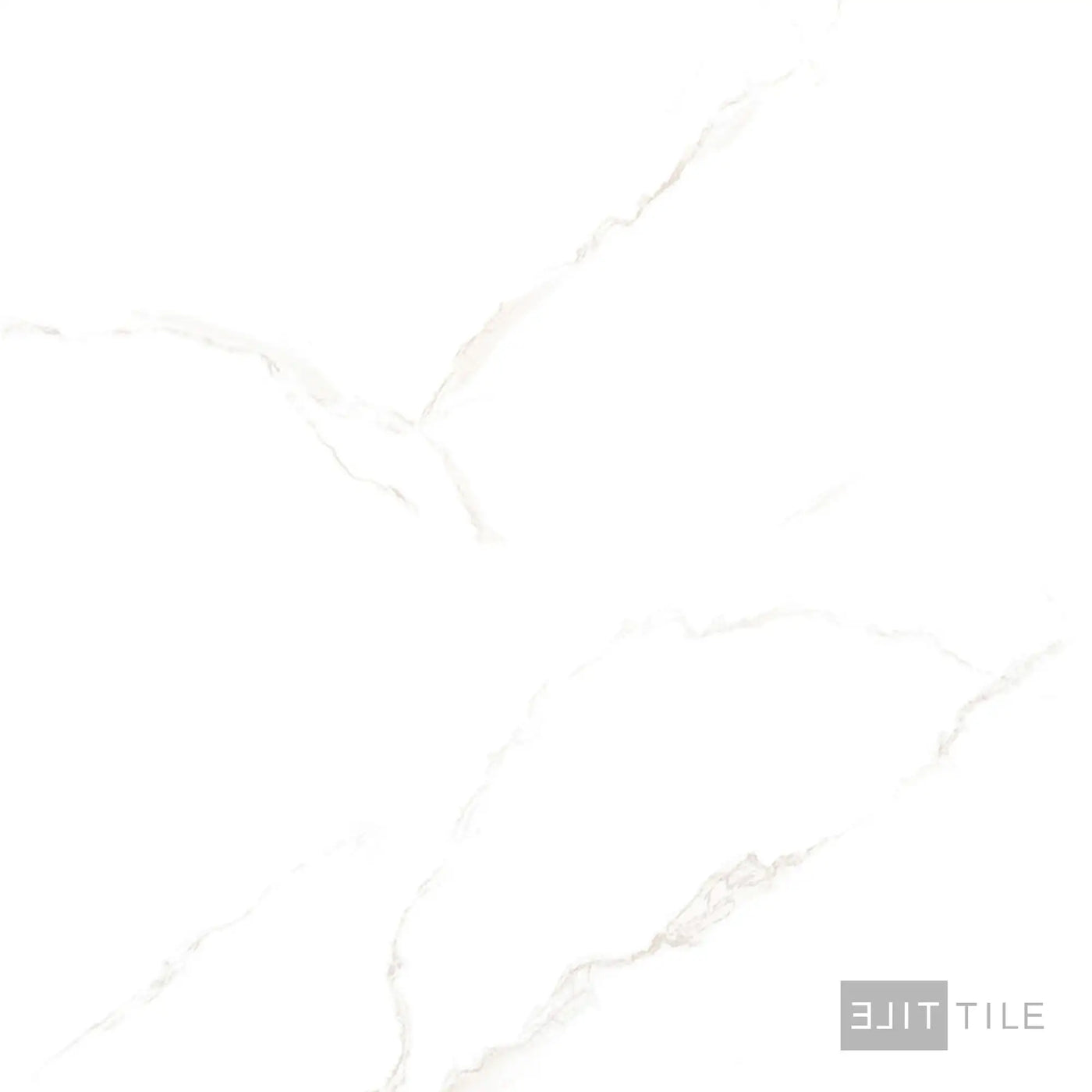 Select White 24X48 Carrara Gray Polished