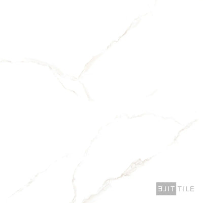 Select White 24X48 Carrara Gray Polished