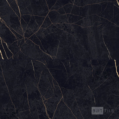 Supreme Evo Porcelain Large Format Field Tile 24X48 Noir Laurent Polished