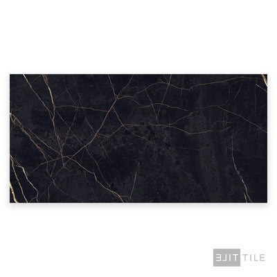 Supreme Evo Porcelain Large Format Field Tile 24X48 Noir Laurent Polished