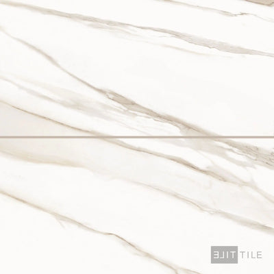Tele Di Marmo Reloaded Porcelain Large Format Field Tile 24X48 Calacatta Polished