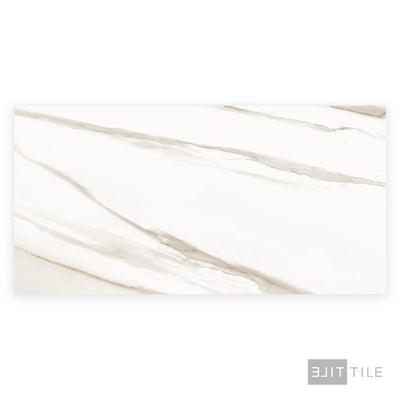 Tele Di Marmo Reloaded Porcelain Large Format Field Tile 24X48 Calacatta Polished