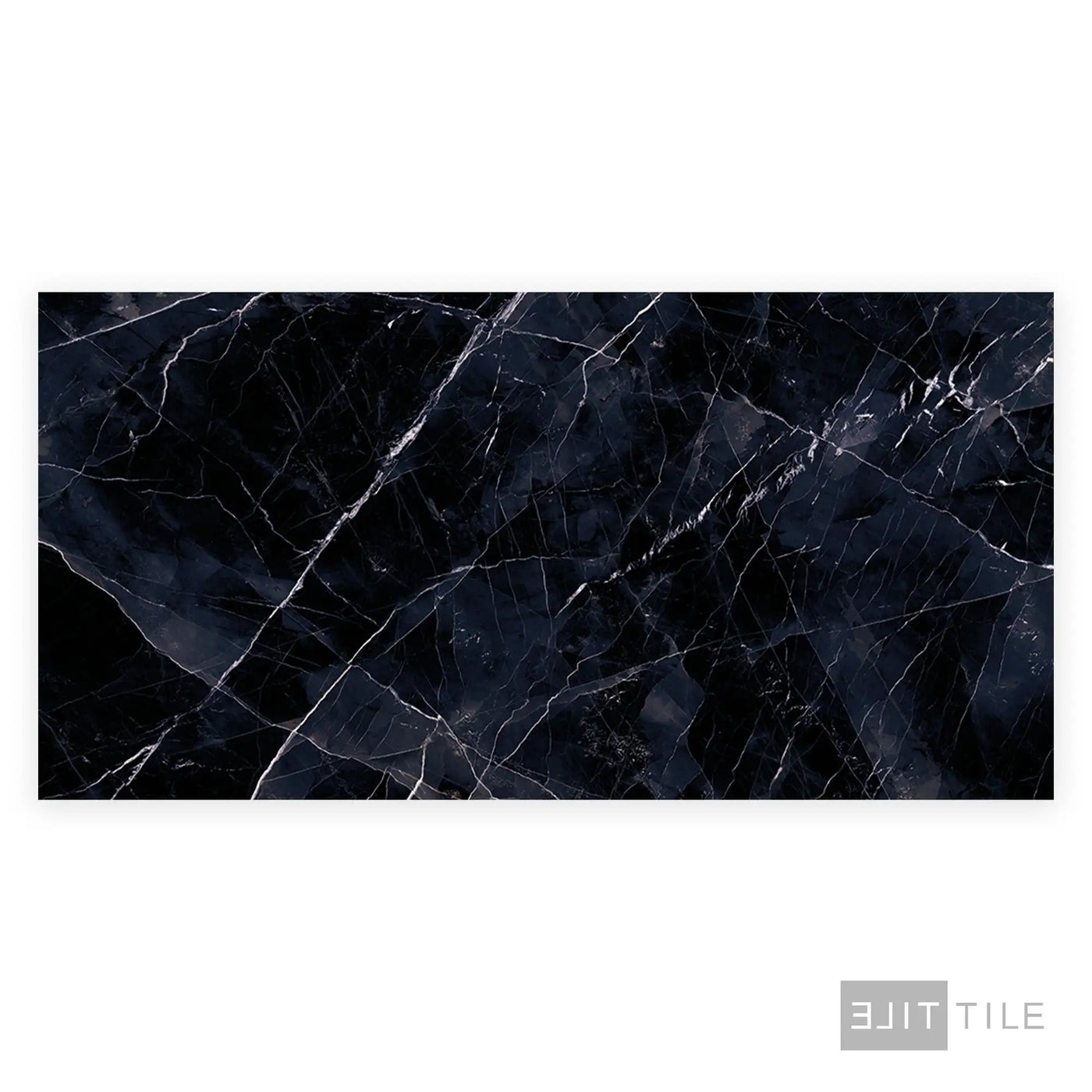 Tele Di Marmo Revolution Porcelain Large Format Field Tile 24X48 Calacatta Black Polished