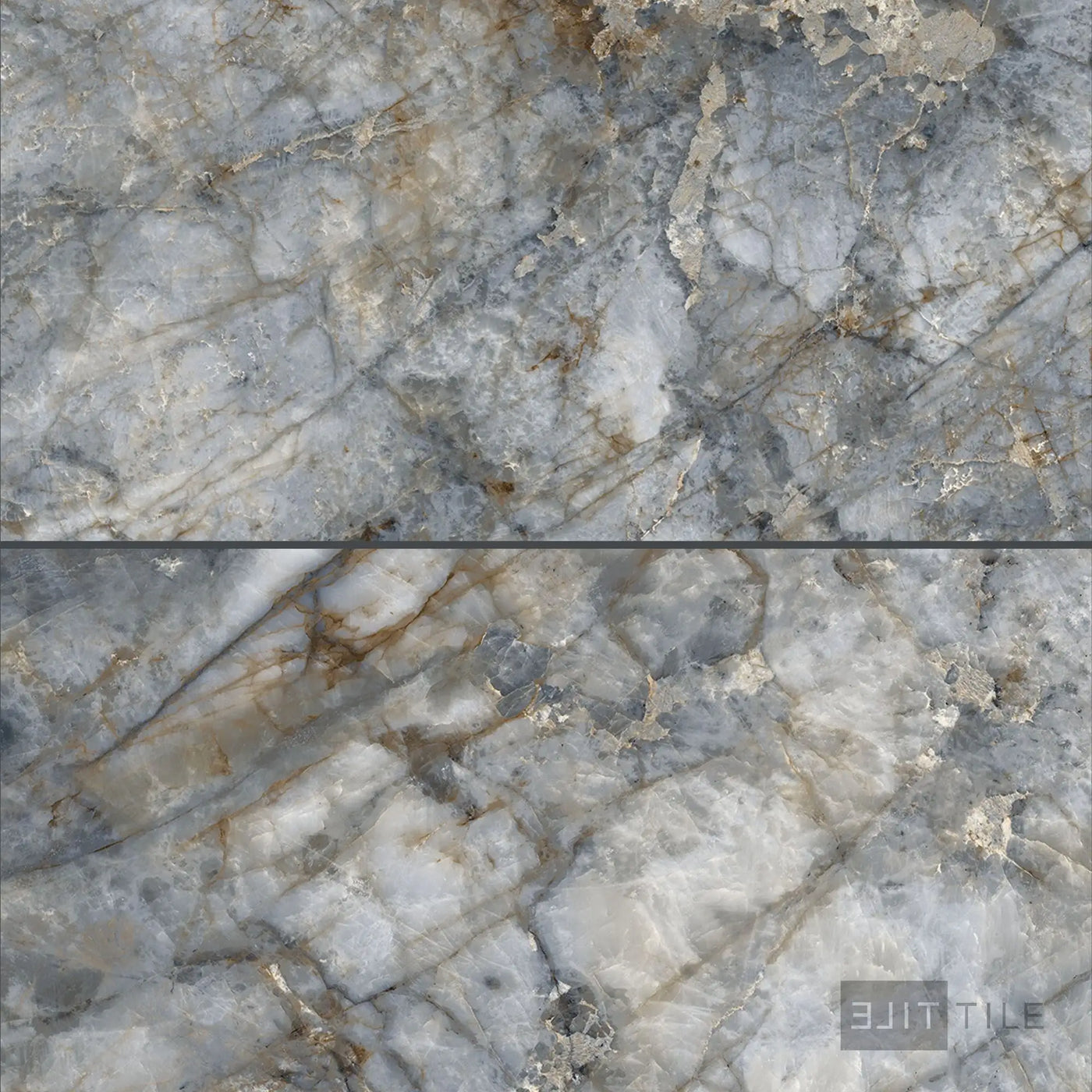 Tele Di Marmo Revolution Porcelain Large Format Field Tile 24X48 Patagonia Polished