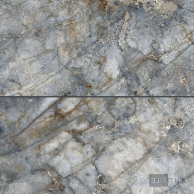 Tele Di Marmo Revolution Porcelain Large Format Field Tile 24X48 Patagonia Polished