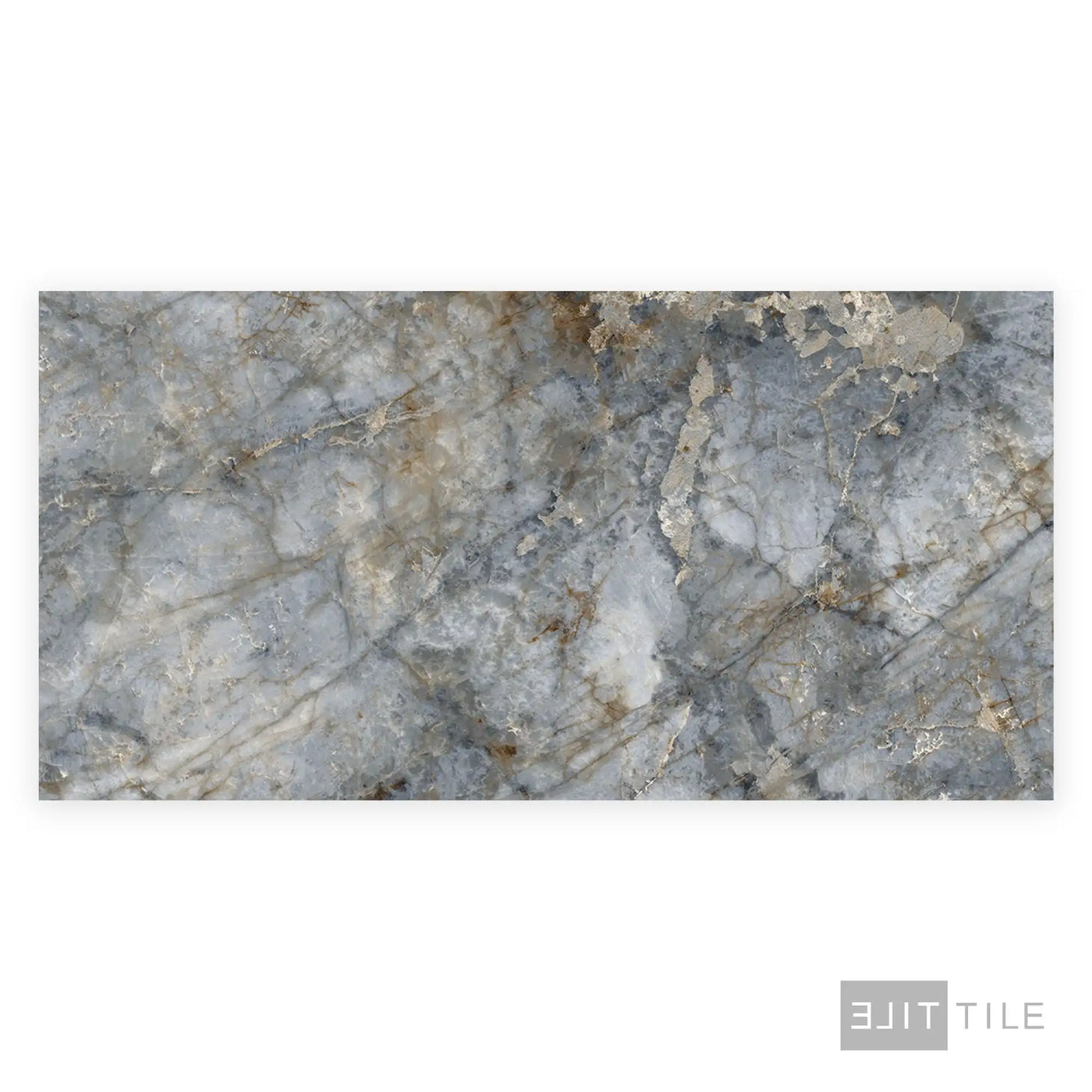 Tele Di Marmo Revolution Porcelain Large Format Field Tile 24X48 Patagonia Polished