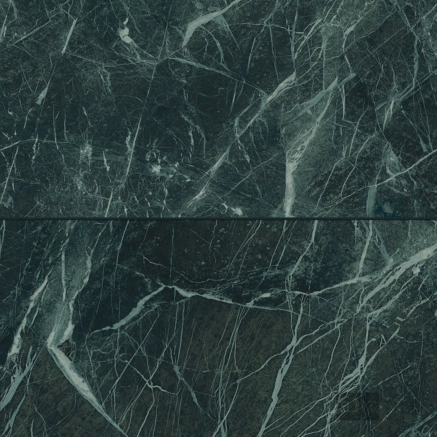 Tele Di Marmo Revolution Porcelain Large Format Field Tile 24X48 Verde St Denis Polished