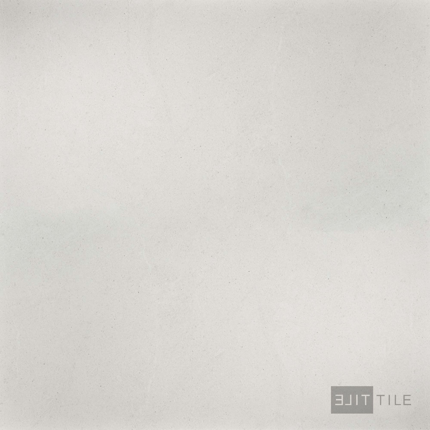 Large-format detail shot of Lime Evolution 48x48 Ice tile, showing its cool matte stone-look texture.