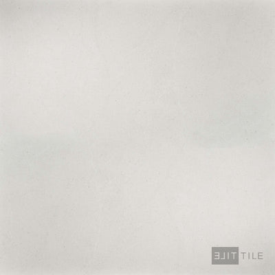 Large-format detail shot of Lime Evolution 48x48 Ice tile, showing its cool matte stone-look texture.