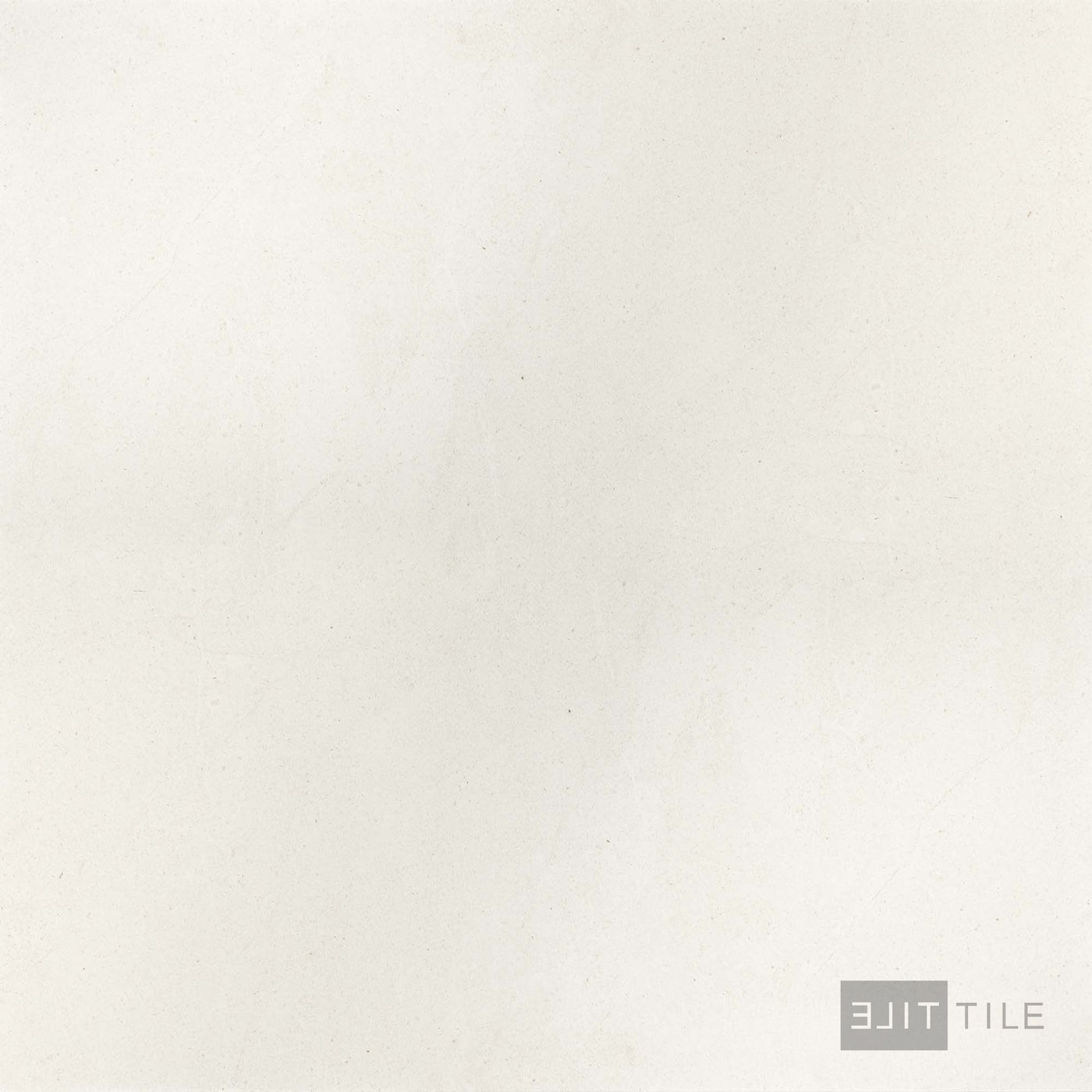 Close-up tile capture of Lime Evolution 48x48 Moon, showcasing its soft gray matte stone aesthetic.