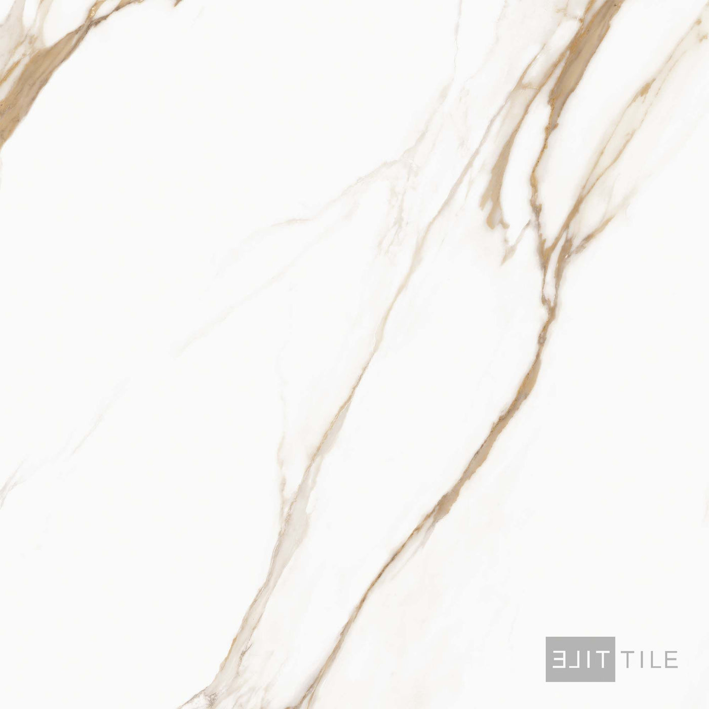 Prestigio 48X48 Calacatta Oro Polished