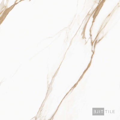 Prestigio 48X48 Calacatta Oro Polished