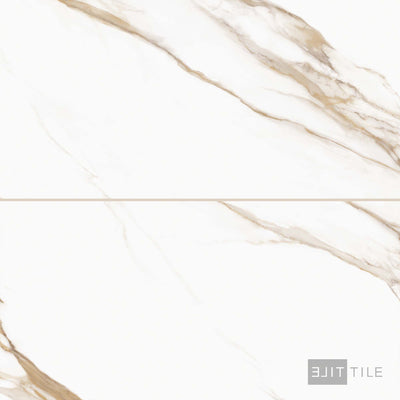 Prestigio 24X48 Calacatta Oro Matte