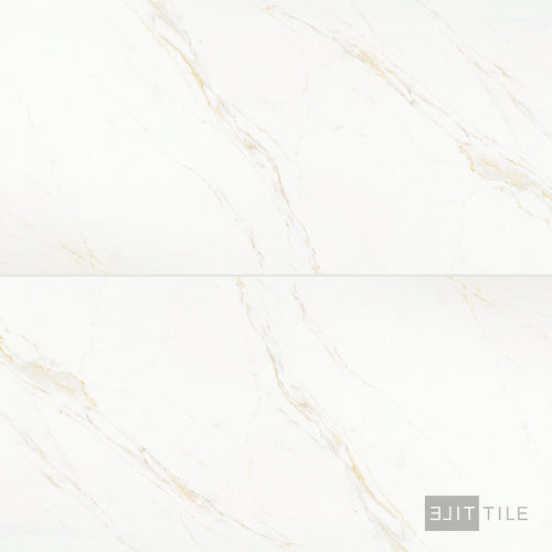 Roma Calacatta Rome 24X48 Polished Porcelain