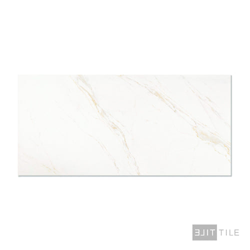 Roma Calacatta Rome 24X48 Polished Porcelain