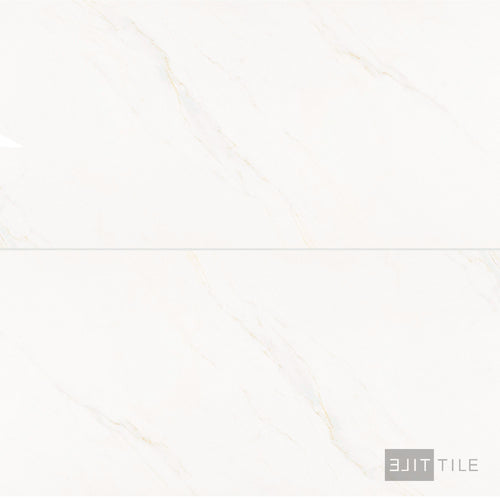 Roma Calacatta Rome 24X48 Matte Porcelain