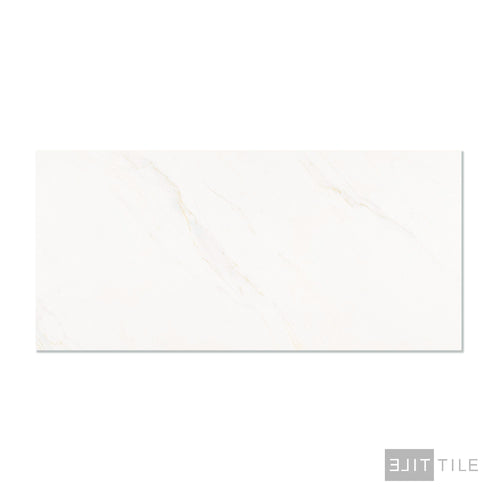 Roma Calacatta Rome 24X48 Matte Porcelain