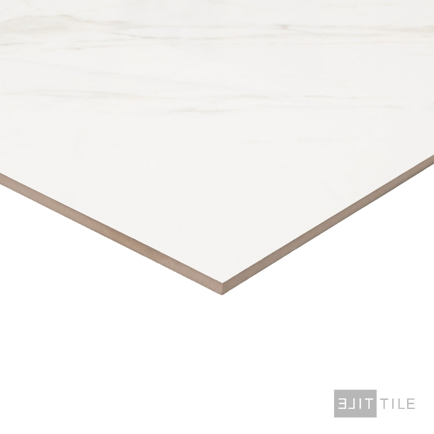 Roma Calacatta Rome 24X48 Matte Porcelain – Elit Tile