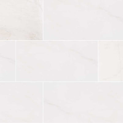 Bianco Dolomite Marble Field Tile 12X24 Polished