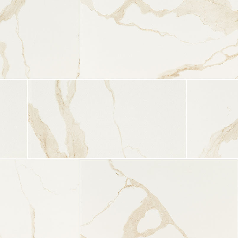 Eden Porcelain Field Tile 12X24 Calacatta Matte