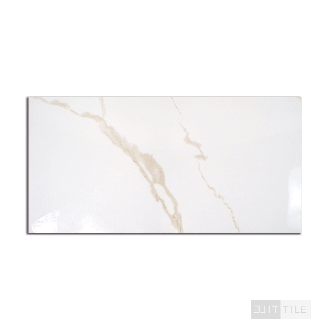 Eden Porcelain Field Tile 12X24 Calacatta Polished