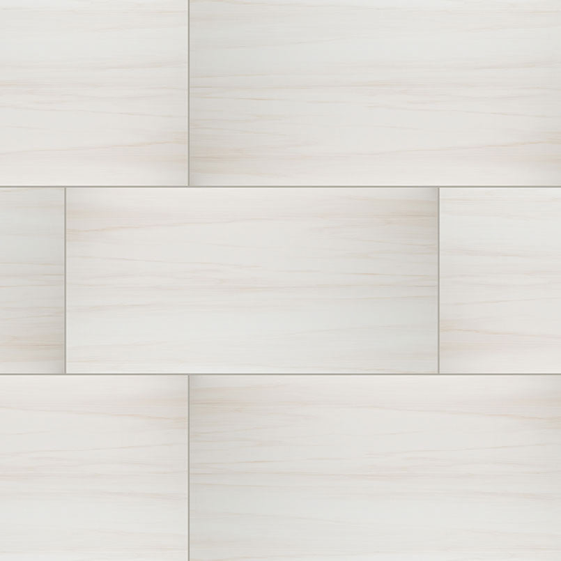 Eden Porcelain Field Tile 24X48 Dolomite Matte