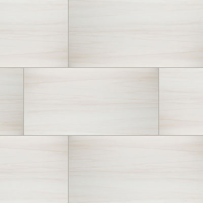 Eden Porcelain Field Tile 24X48 Dolomite Matte