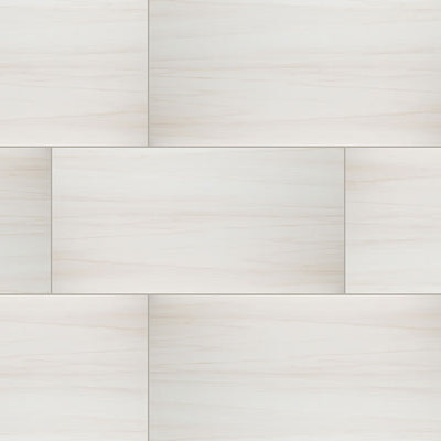 Eden Porcelain Field Tile 24X48 Dolomite Polished