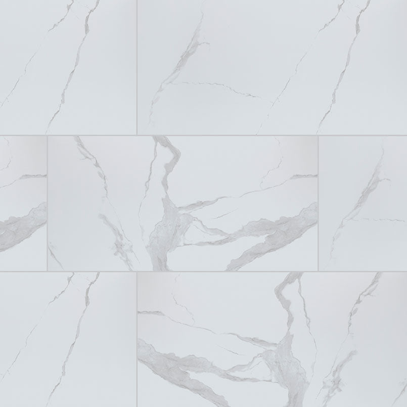 Eden Porcelain Field Tile 24X48 Statuary Polished