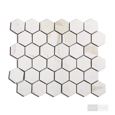 Eden 2X2 Hexagon Porcelain Mosaic 12X12 Calacatta Matte