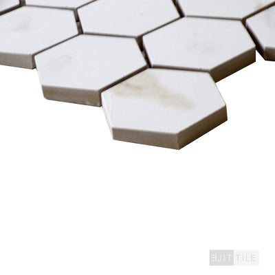 Eden 2X2 Hexagon Porcelain Mosaic 12X12 Calacatta Matte