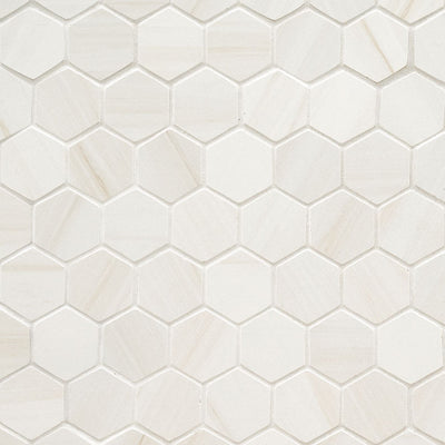 Eden 2X2 Hexagon Porcelain Mosaic 12X12 Dolomite Matte