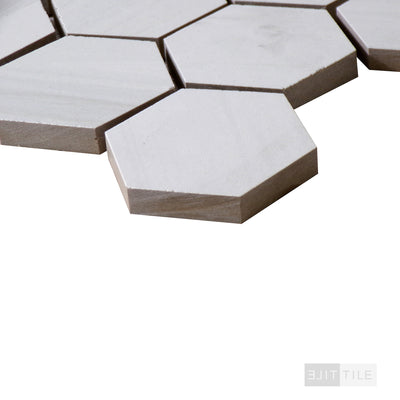 Eden 2X2 Hexagon Porcelain Mosaic 12X12 Dolomite Matte