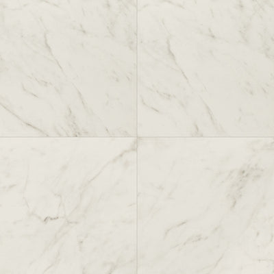 Kaya Porcelain Field Tile 24X24 Carrara Bianco Matte