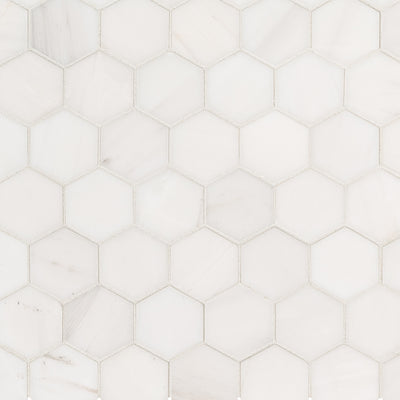 Bianco Dolomite Mosaics Hexagon Marble Mosaic Misc. 0 Polished