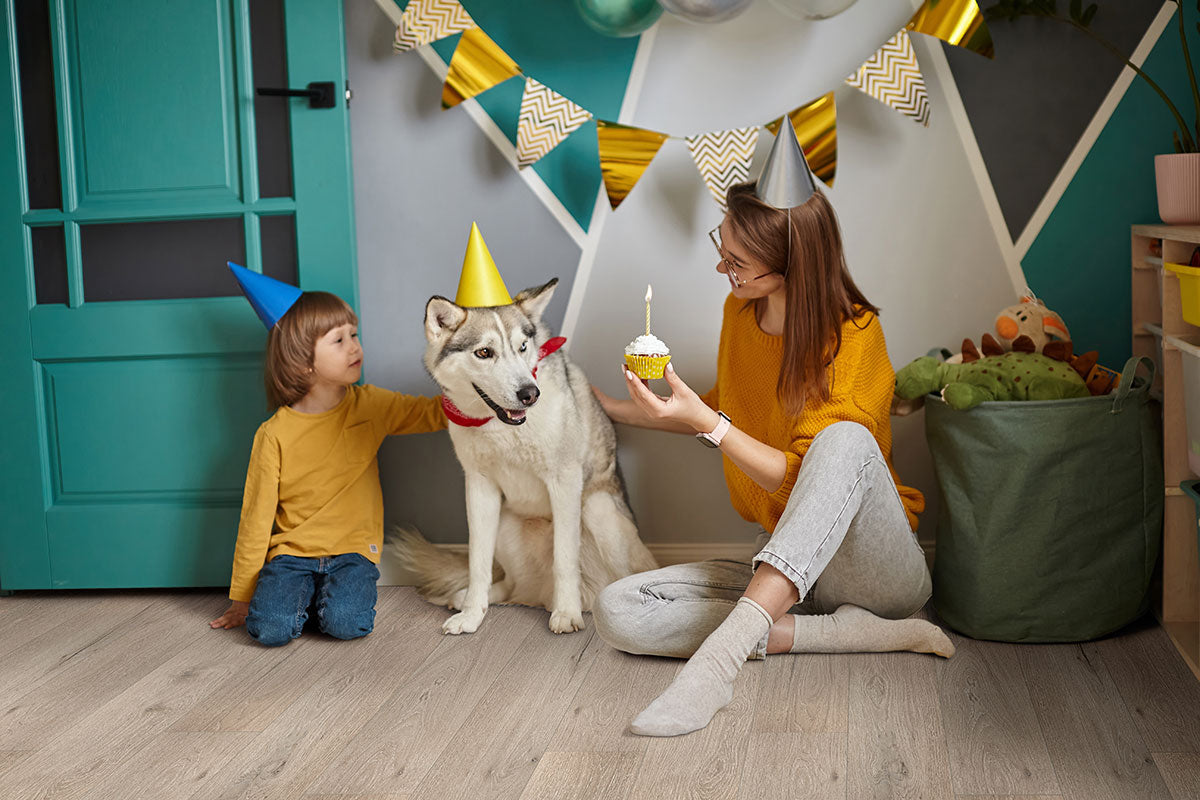 Smithcliffs Driftway 7X48 Low Gloss Vinyl