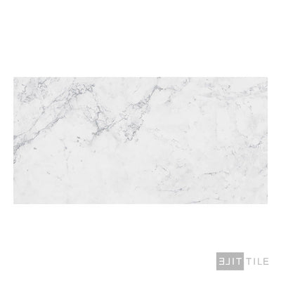 Trecento Carrara Avell 12X24 Low Gloss Luxury Vinyl Plank