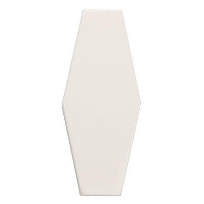 6th Avenue Hexagon 2X6 Canvas Gloss
