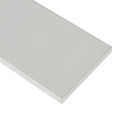 6th Avenue 4X12 French Clay Gloss