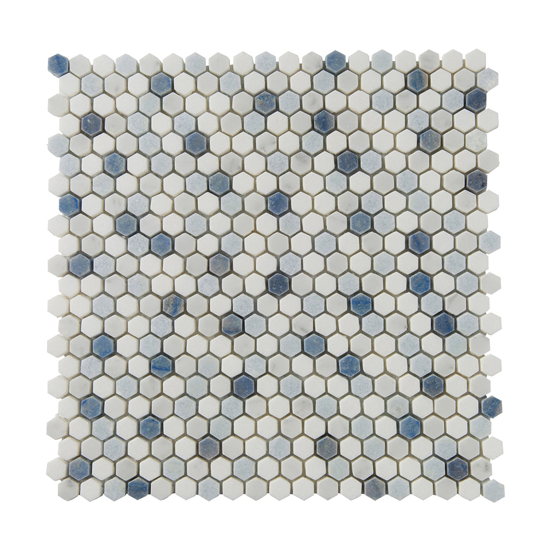 Accent Bleu Hexagon Mosaic 12X12 Multi-Color Polished