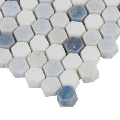 Accent Bleu Hexagon Mosaic 12X12 Multi-Color Polished