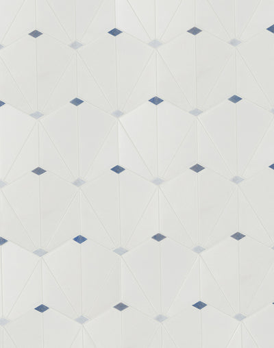 Accent Bleu Hexagon Mosaic 12X14 Multi-Color Polished