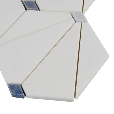 Accent Bleu Hexagon Mosaic 12X14 Multi-Color Polished