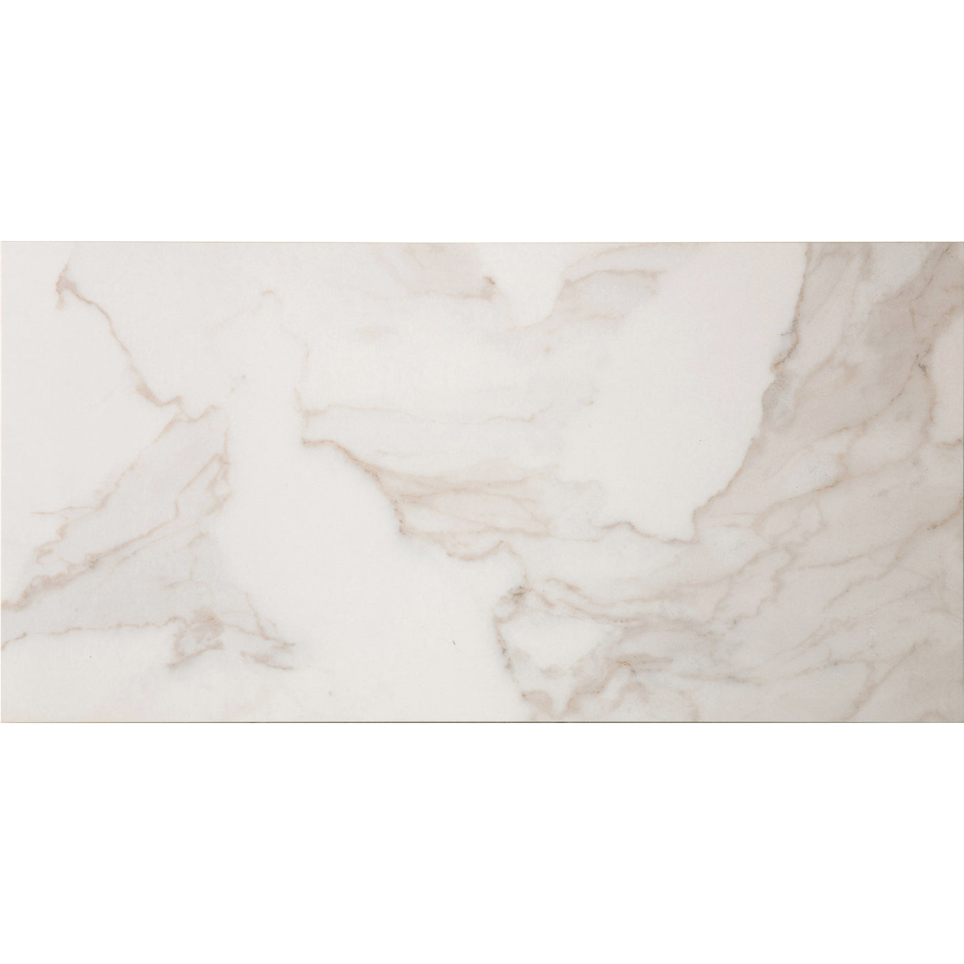 Calacata Porcelain 12X24 White Brushed