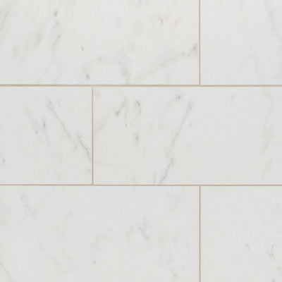 Cava Bianco 12X24 Carrara Brushed